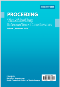 Image of Proceeding The Midwifery International Conference